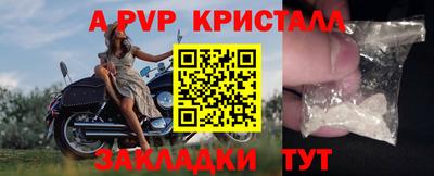 стаф Кунгур
