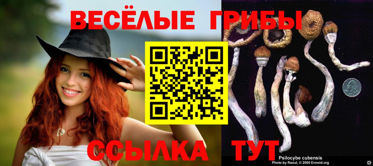 MDMA  ГАШИШ  Ковров  COCAIN  НБОМе  Вход с VPN  МЕФ   Канабис  Меф  APVP СОЛЬ  
