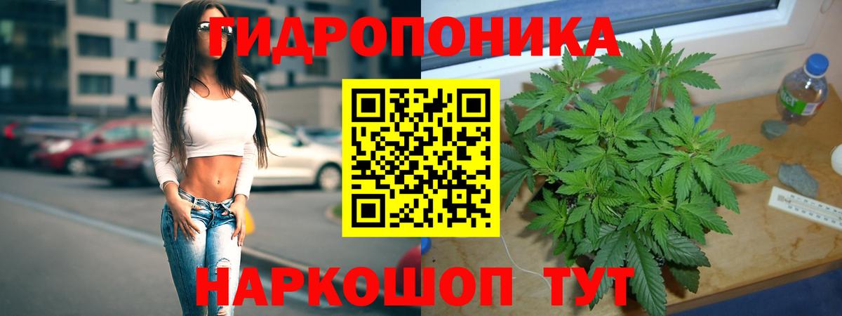 Конопля LSD WEED  Канабис White Widow  Ковров  Вход с VPN  МАРИХУАНА VHQ  Бошки Шишки VHQ 